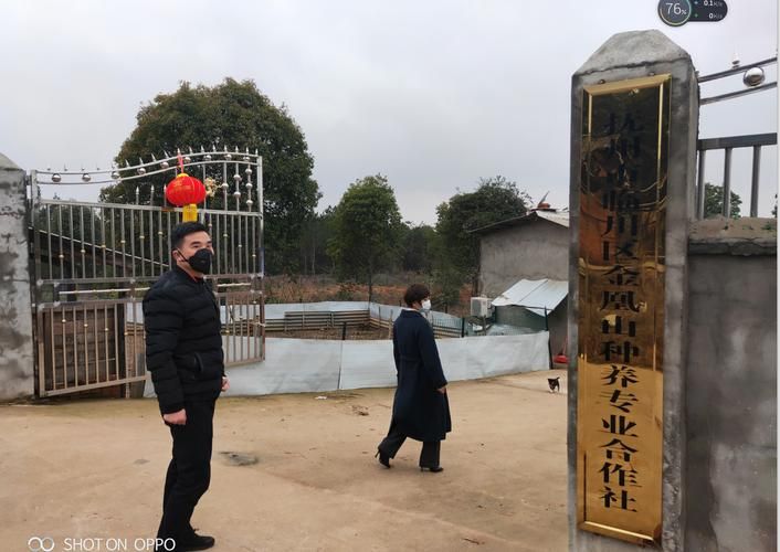 【黑龙江省哈尔滨市阿城区最新通告：所有人员足不出户,黑龙江省哈尔滨市阿城区疫情】