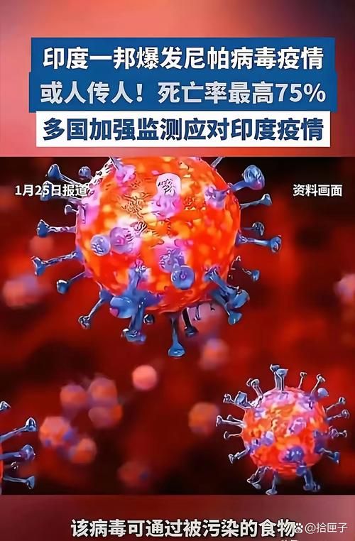 全球疫情存反弹风险(全球疫情出现了严重反弹)