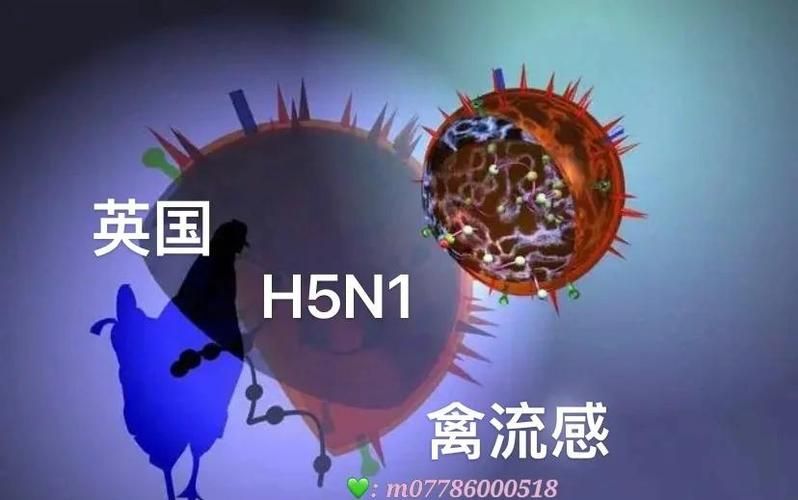 【今冬疫情有望近5天结束_今年冬季疫情怎么样】