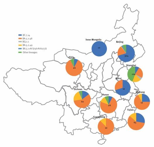 31个省份疫情高峰感染高峰进度查询(疫情高峰地区有几个省)