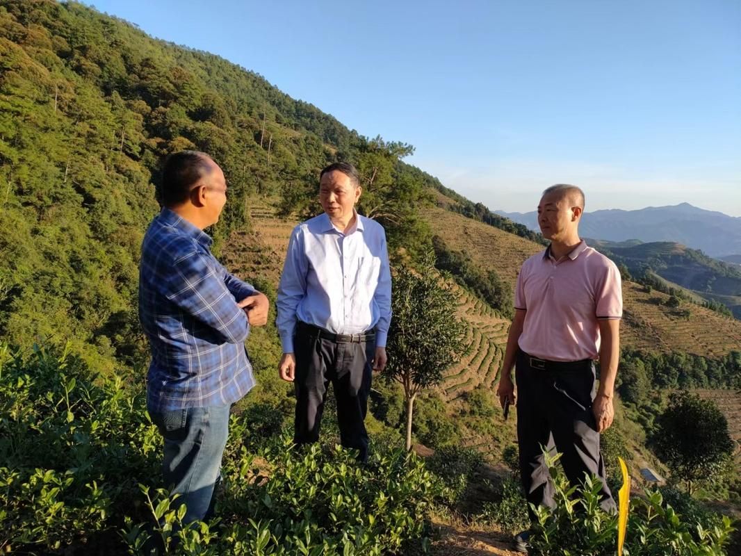 华安县疫情足不出户最新消息/华安县防疫