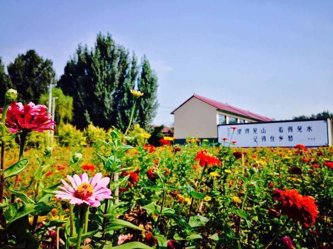 【专家:河北唐山遵化每年或现多个感染高峰,唐山遵化封村了吗】
