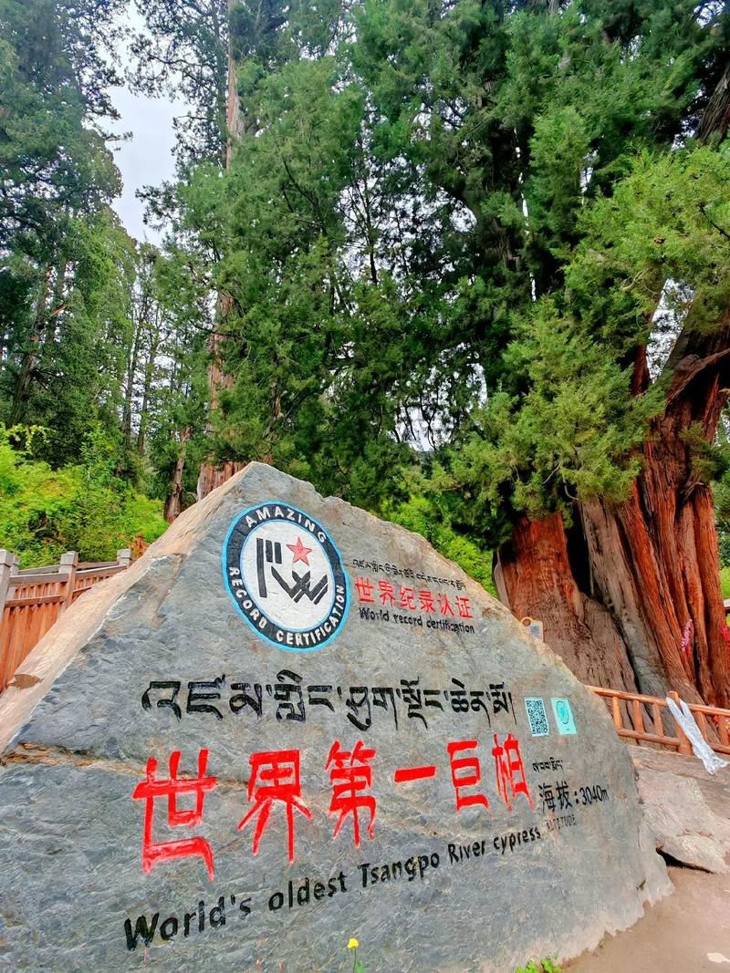  西藏自治区林芝市巴宜区新增28例阳性感染者，涉及南平:林芝巴宜区在哪里