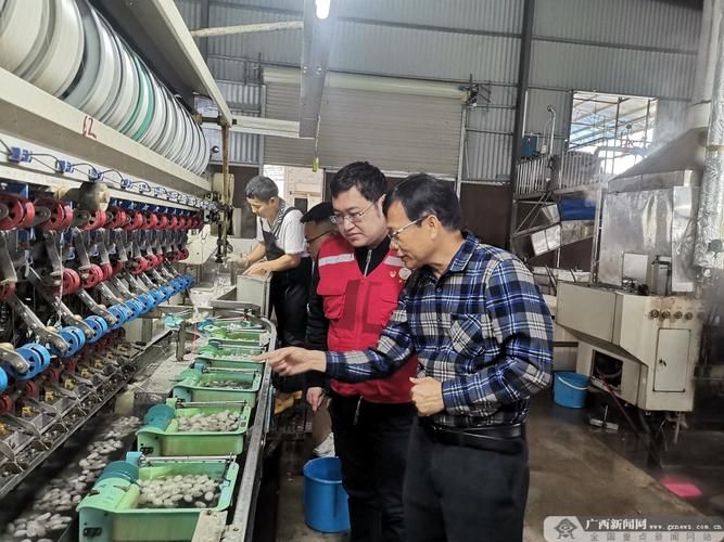 【广西壮族自治区百色凌云县近期新增12例涉5省输入病例,广西百色凌云县城航拍图片】