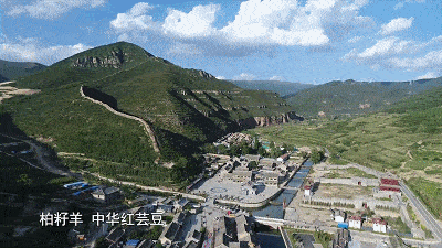【山西忻州岢岚县最新轨迹公布：寻找同轨迹人员,山西忻州岢岚县地图】