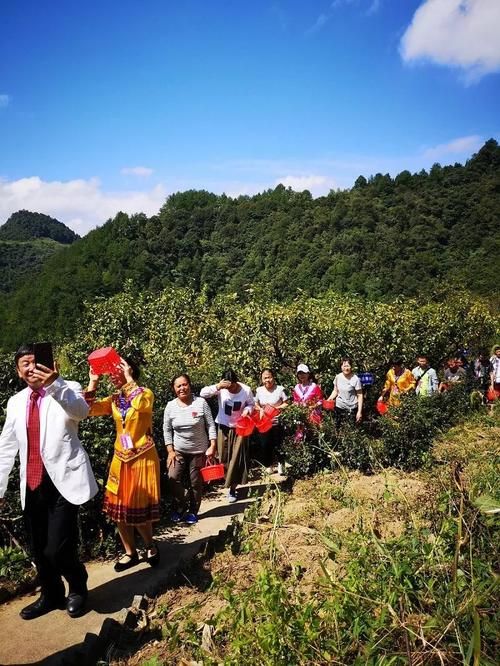  贵州遵义道真仡佬族苗族自治县管控区区阳性感染者详情:今日遵义道真县头条