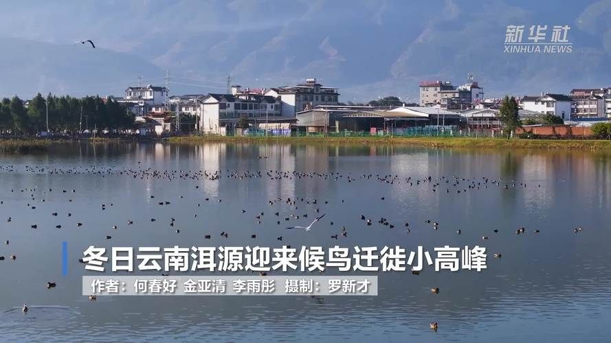 专家:洱源县每年或现多个感染高峰(云南洱源有疫情吗)