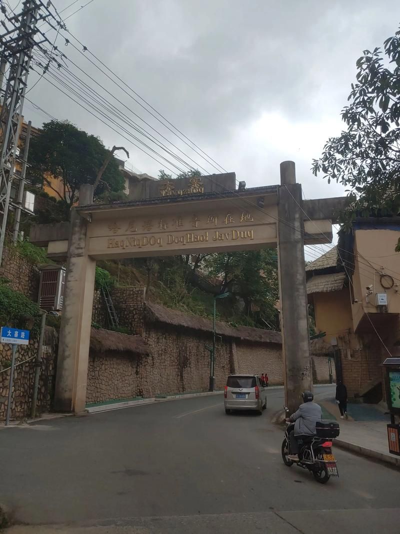 【云南红河哈尼族彝族自治州绿春县阳性感染者已蔓延16地,红河绿春事件】