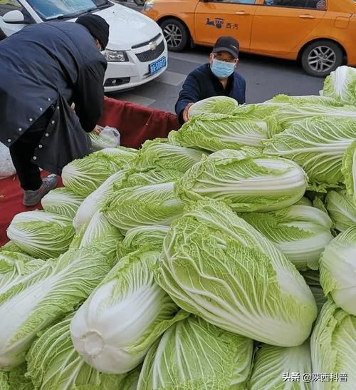 红桥区12月31日核酸阳性数据播报_天津市红桥医院核酸检测结果网上查询