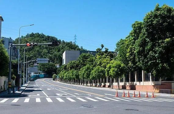 【31省疫情存反弹风险,疫情反弹扩散风险】