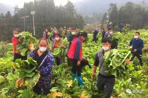 碧江区通报30例死亡病例详情/碧江区疫情