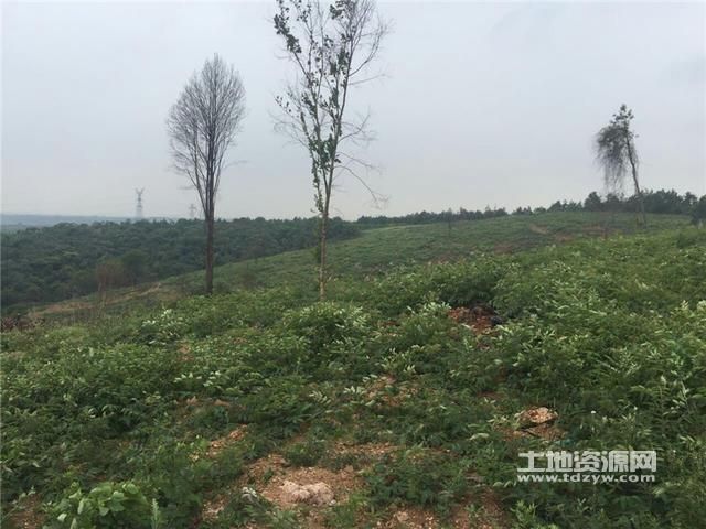 湖北宜昌当阳静默标准最新公布/宜昌当阳市最新防疫政策