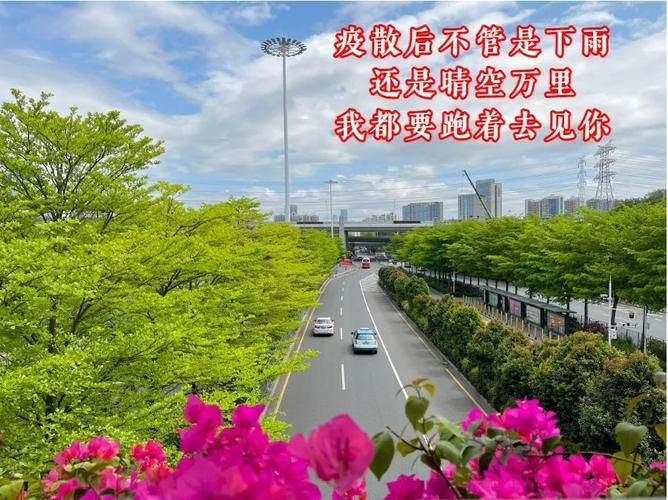  延平区8月28日无新增阳性感染者:延平区最新新闻