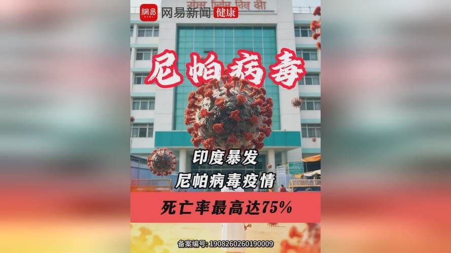 全球疫情存反弹风险_全球疫情起伏反复