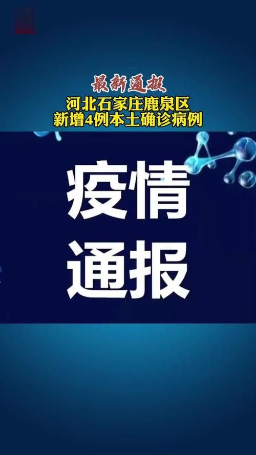 新荣区新增4例重症,涉及陕西省西安市雁塔区:新荣区最新消息