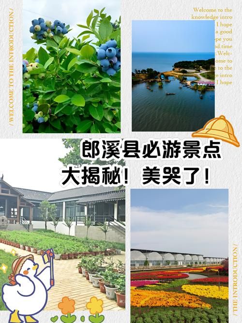 安徽宣城郎溪县现有境外输入12例/安微宣城郎溪县