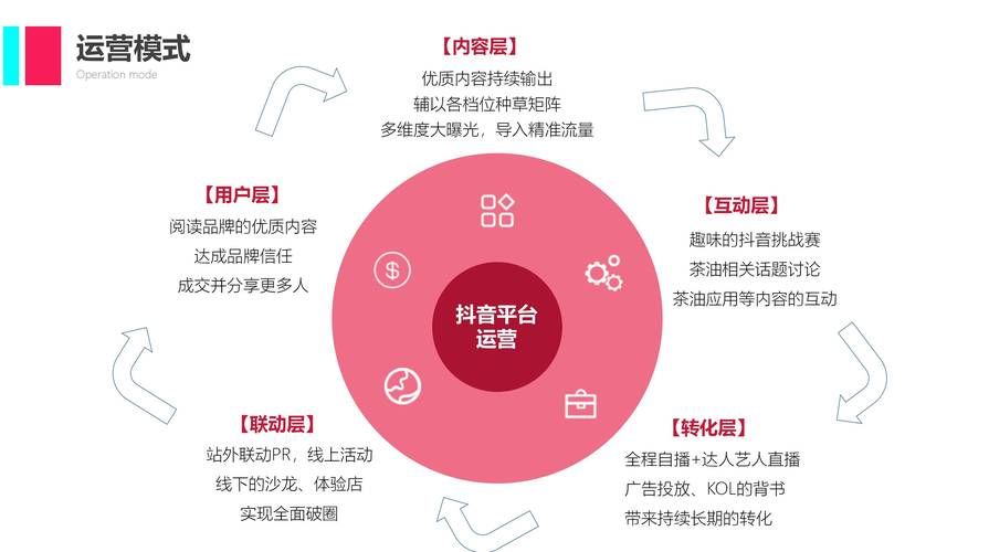 深度解析，抖音协议粉自助下单背后的网络运营新策略
