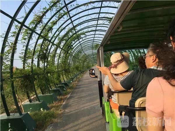 宁夏回族自治区吴忠市新增28例死亡病例，涉及贵州省黔南布依族苗族自治州贵定县的简单介绍