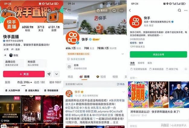 揭秘免费刷快手粉丝平台，弊端与真相