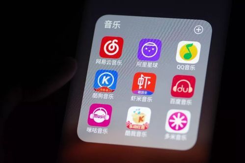 全民K歌业务网易云粉丝下单平台 - [教程经验]