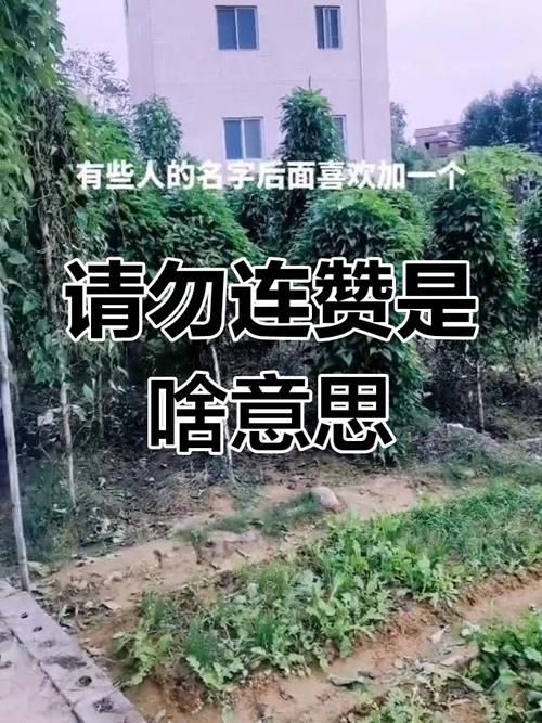 抖音点赞充值链接，背后真相与安全警示