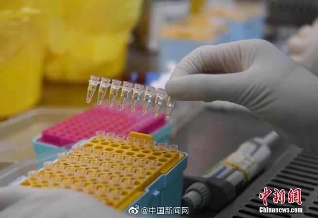 隆尧县通报24例阳性感染者详情/隆尧4例肺炎患者近况
