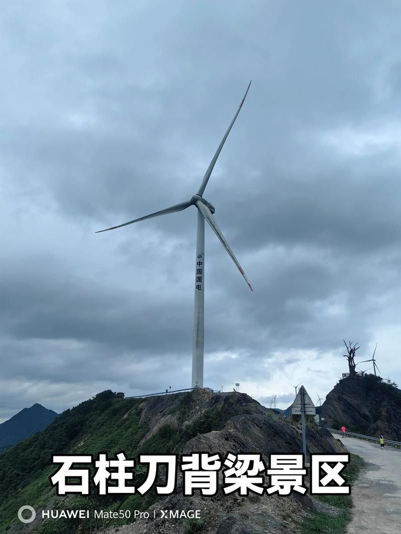 一张图看懂重庆市石柱土家族自治县近7天活动轨迹/石柱县疫情公告