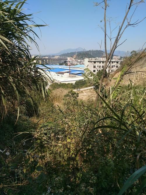 【福建福州闽侯县什么时候可以解封,福州市闽侯县小区有封闭吗】