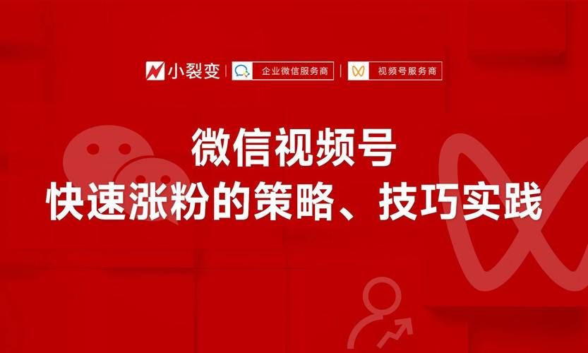 24小时视频号涨粉平台/业务了解附工具脚本详细步骤