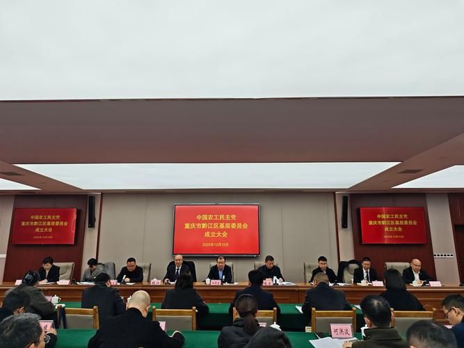 黔江区静默区重症详情(黔江区最新信息)