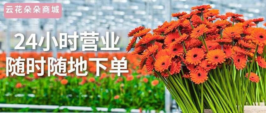24小时业务下单 - 推荐一款