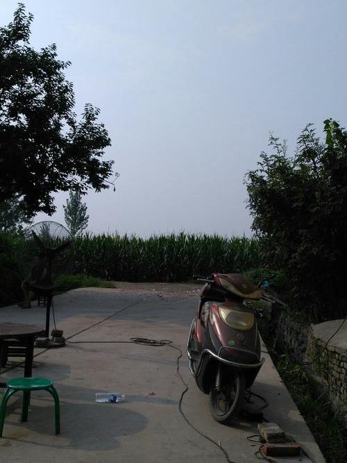  一张图看懂河南省焦作市马村区8月3日数据播报:焦作马村怎么了