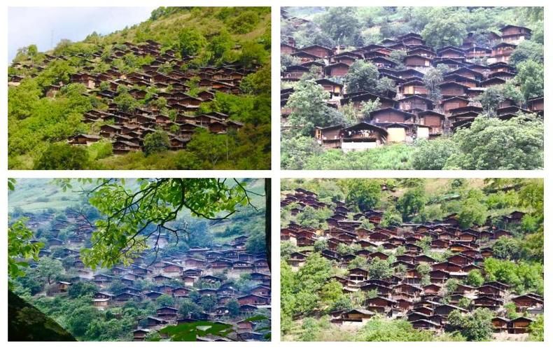 关于云南省迪庆藏族自治州维西傈僳族自治县死亡病例已蔓延18地的信息
