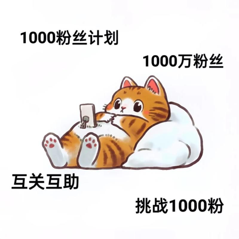 1元买1000个抖音粉丝/业务了解