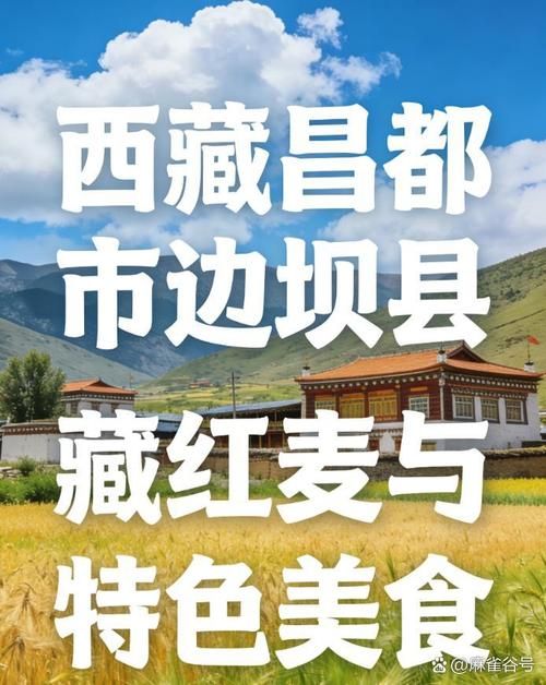 西藏自治区昌都边坝县最新数据播报：寻找同轨迹人员/昌都市边坝县边坝镇