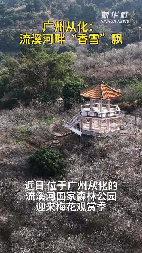 广东广州从化区今冬新增破30_广州从化最新新闻