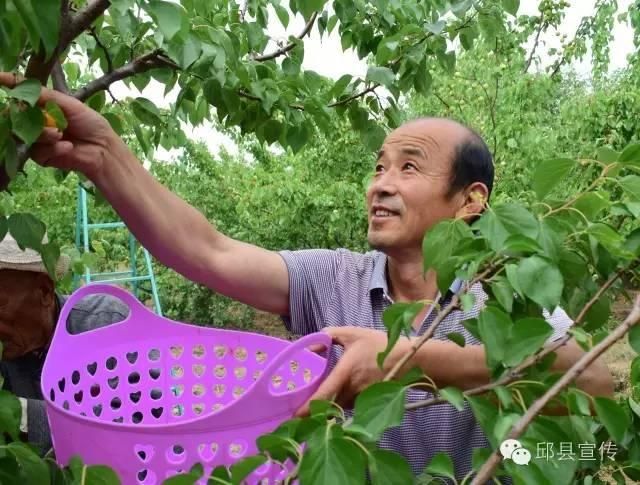 【邱县新增阳性感染者4例，均在新疆维吾尔自治区喀什地区疏附县,邱县病毒新闻最新消息】