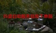 ks业务秒刷网:玩家必备教程详细24自助教程