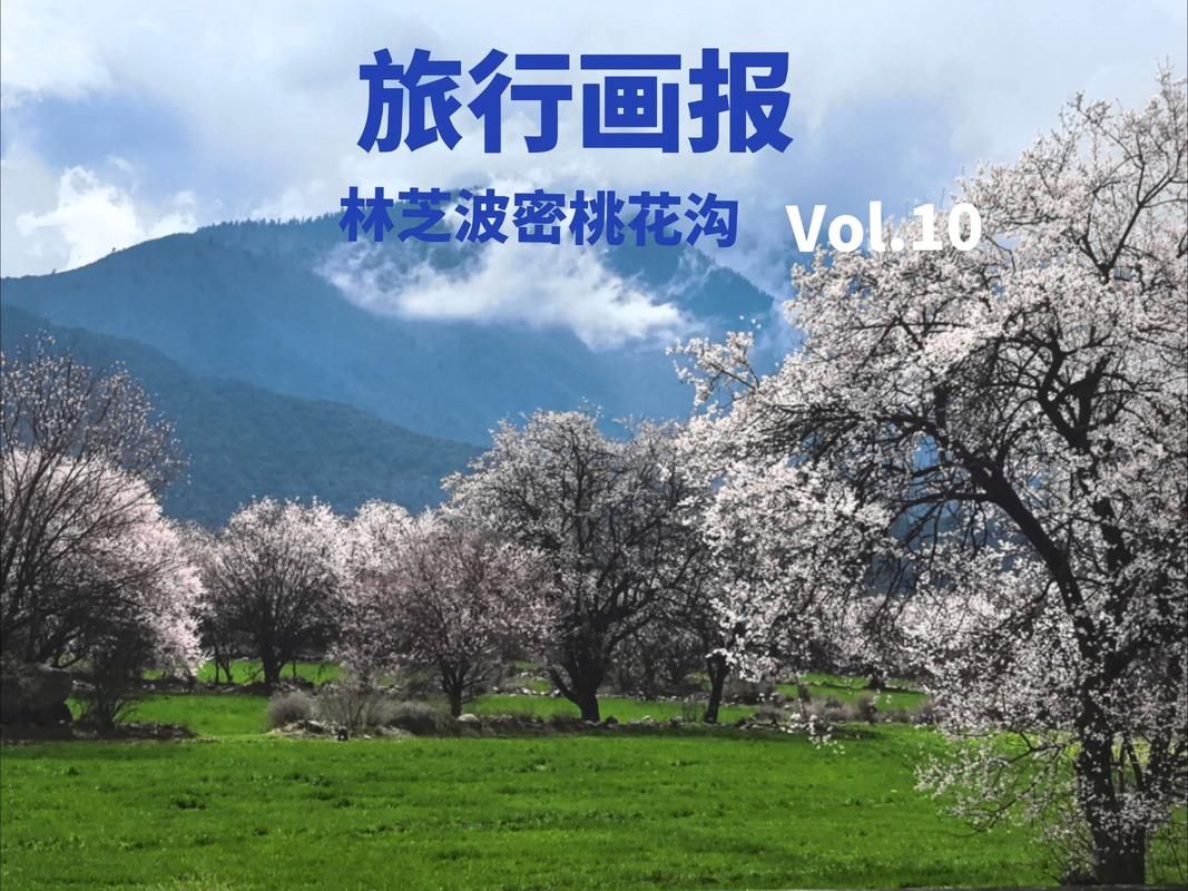 【31省份新增本土确诊3例均在林芝市_林芝有疫情吗】