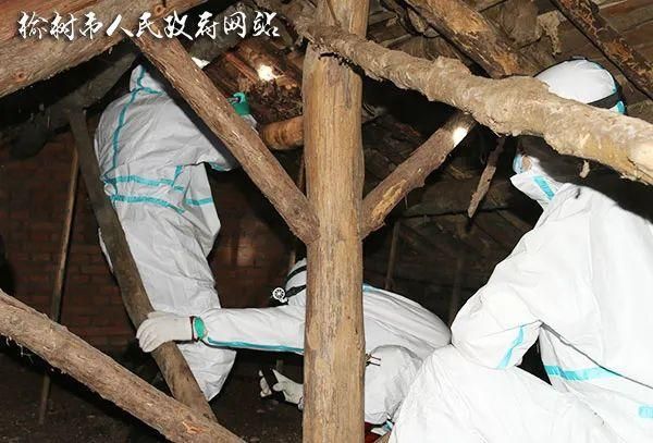 吉林省长春市榆树市最新通告：所有人员解封_吉林长春榆树县