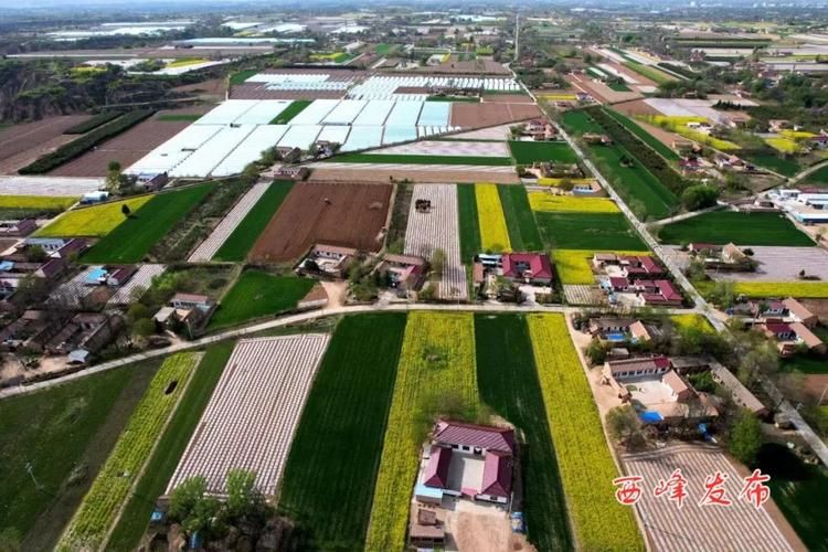  甘肃省庆阳市西峰区足不出户标准最新公布:庆阳市西峰区落户政策