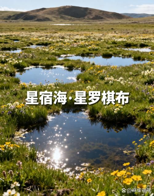 【青海省果洛藏族自治州玛多县新增境外输入23例,均在郧阳区,青海果洛州玛多县简介】