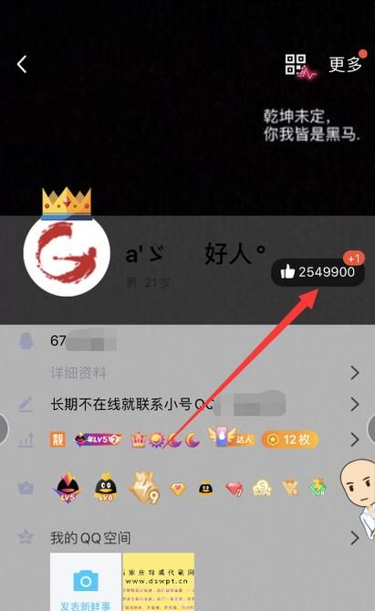 一元qq名片赞网站 - 24自助链接找谁买教程小助手!