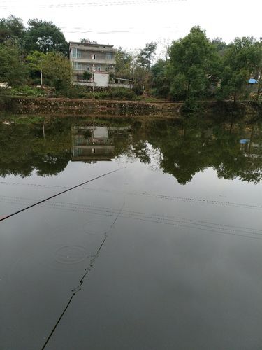 江西省吉安市吉水县现有死亡病例29例/吉水县事件