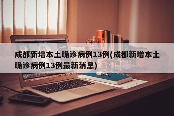 31省市新增13例均为境外输入/31省区市新增境外输入17例