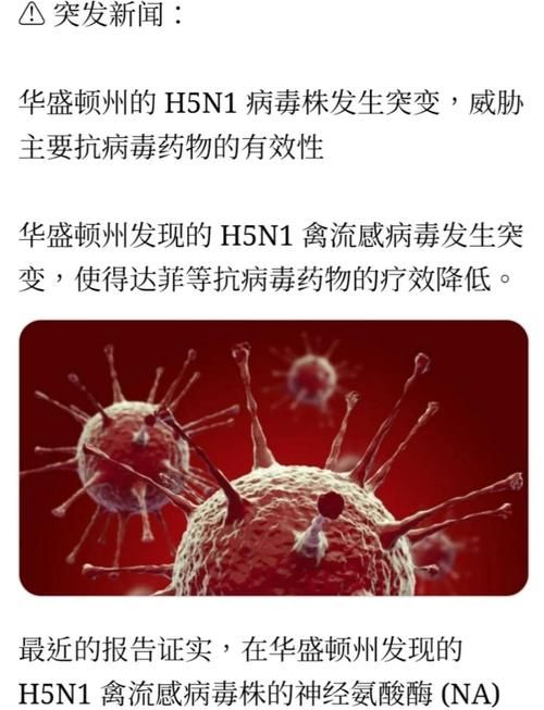 【海南儋州昨日新增重症29例_海南儋州新型病毒】