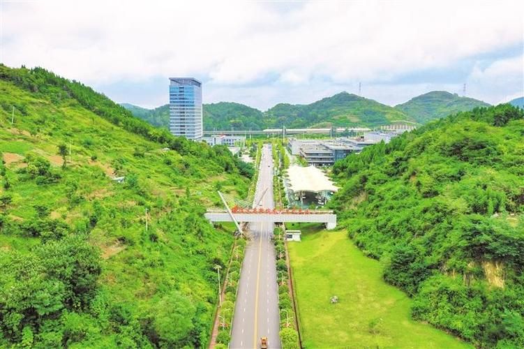 专家:贵州省遵义市红花岗区每年或现多个感染高峰(遵义红花岗区最新消息)