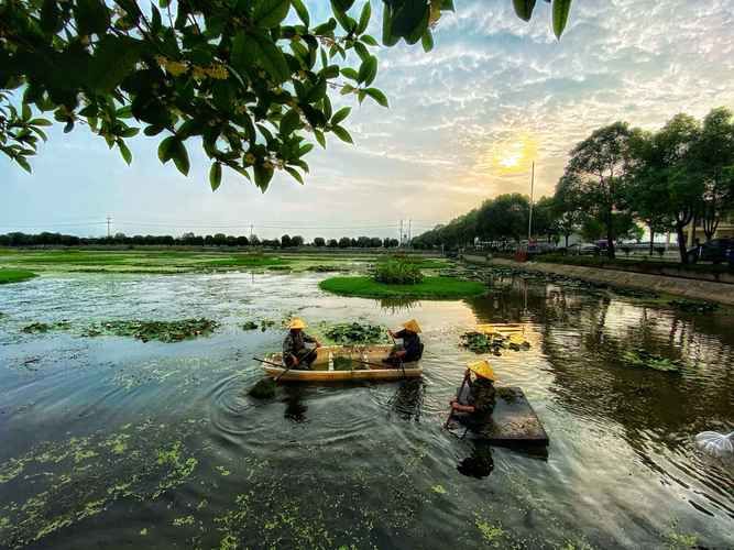 【专家:湖南益阳益阳大通湖管理区每年或现多个感染高峰,益阳大通湖未来发展】