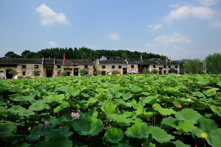 湖南省郴州市资兴市解封区境外输入详情:郴州资兴区号是多少
