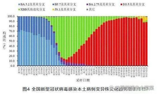 多地增1例重症(新增重症)